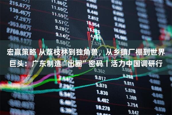 宏赢策略 从荔枝林到独角兽，从乡镇厂棚到世界巨头：广东制造“出圈”密码丨活力中国调研行